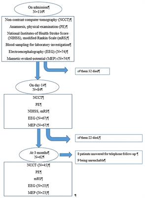 Neurophysiological Examinations as Adjunctive Tool to Imaging Techniques in Spontaneous Intracerebral Hemorrhage: IRONHEART Study